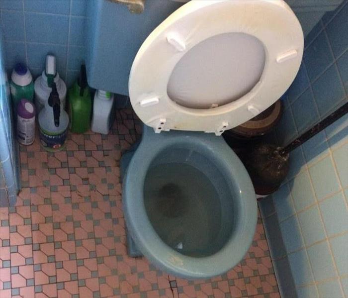 Clean toilet