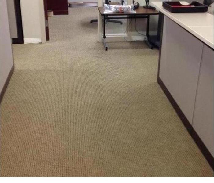 commercial office workspace with dry tan color carpeting