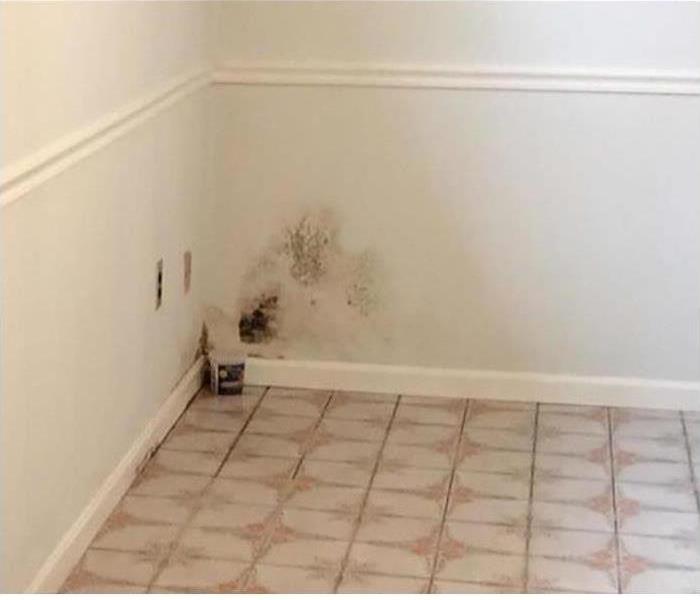 kitchen with decorative tile white walls, corner area with visible dark mold growth
